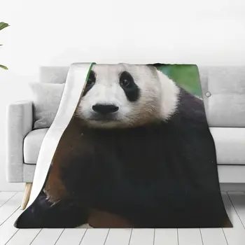 Fubao Aibao Fu Panda Bao Antklodė Minkštas Pliušinis Flanelė Vilnos Mesti Pledai Lengva Priežiūros Mašina už Prieinamą kainą